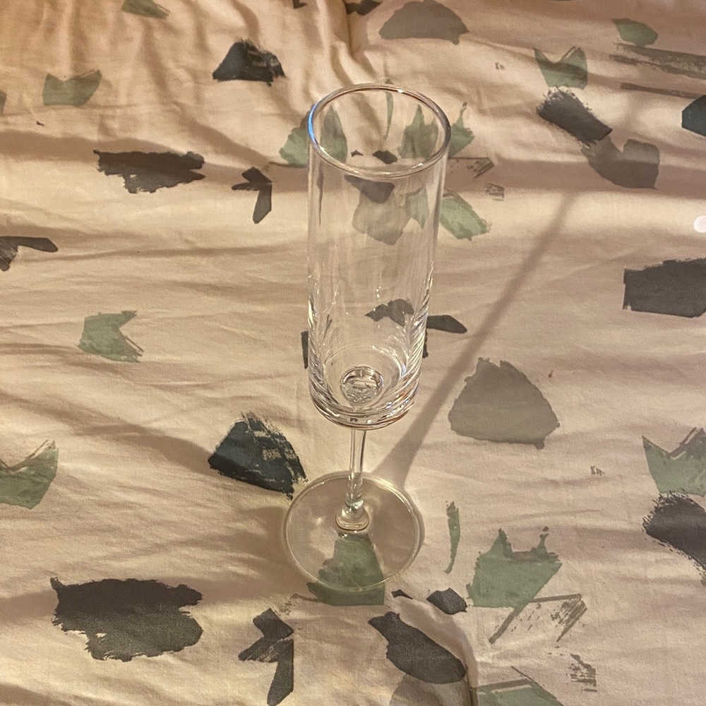 Elegant Clear Champagne Flute